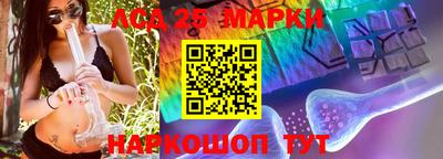 индика Комсомольск-на-Амуре