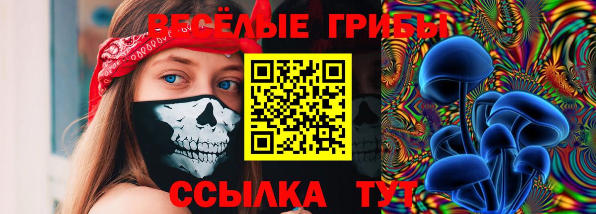 Галлюциногенные грибы Magic Shrooms Куйбышев