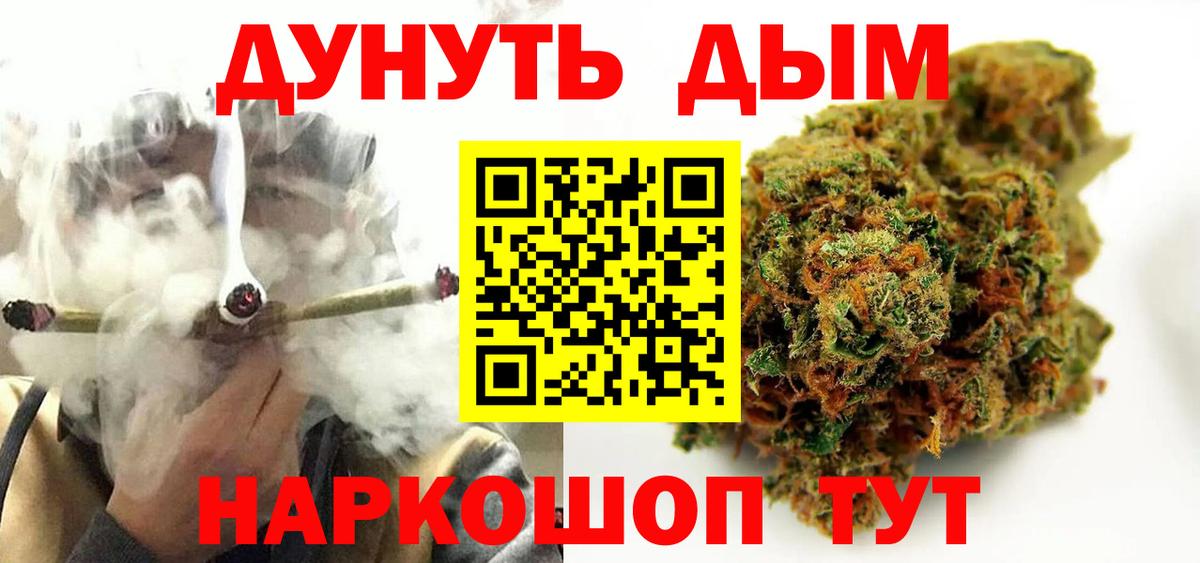 Каннабис сатива Куйбышев